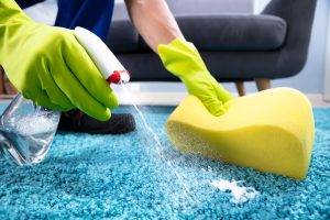 Person Cleaning Stain On Carpet