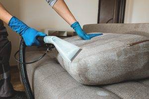 Man Dry Cleaner's Employee Hand In Protective Rubber Glove Cleaning Sofa With Professionally Extraction Method. Early Spring Regular Cleanup. Commercial Cleaning Company Concept